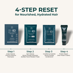 A 4-step hair care reset set on a light beige background with dark teal text. The products shown are SHiRD Thyme Intensive Shampoo, SHiRD Nutra Therapy Shampoo, SHiRD Nutra Therapy Conditioner, and SHiRD Protein Repair Hair Protein Cream, arranged in a labeled sequence from Step 1 to Step 4.