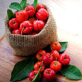 Acerola Cherry Extract