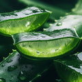 Aloe Vera Extract