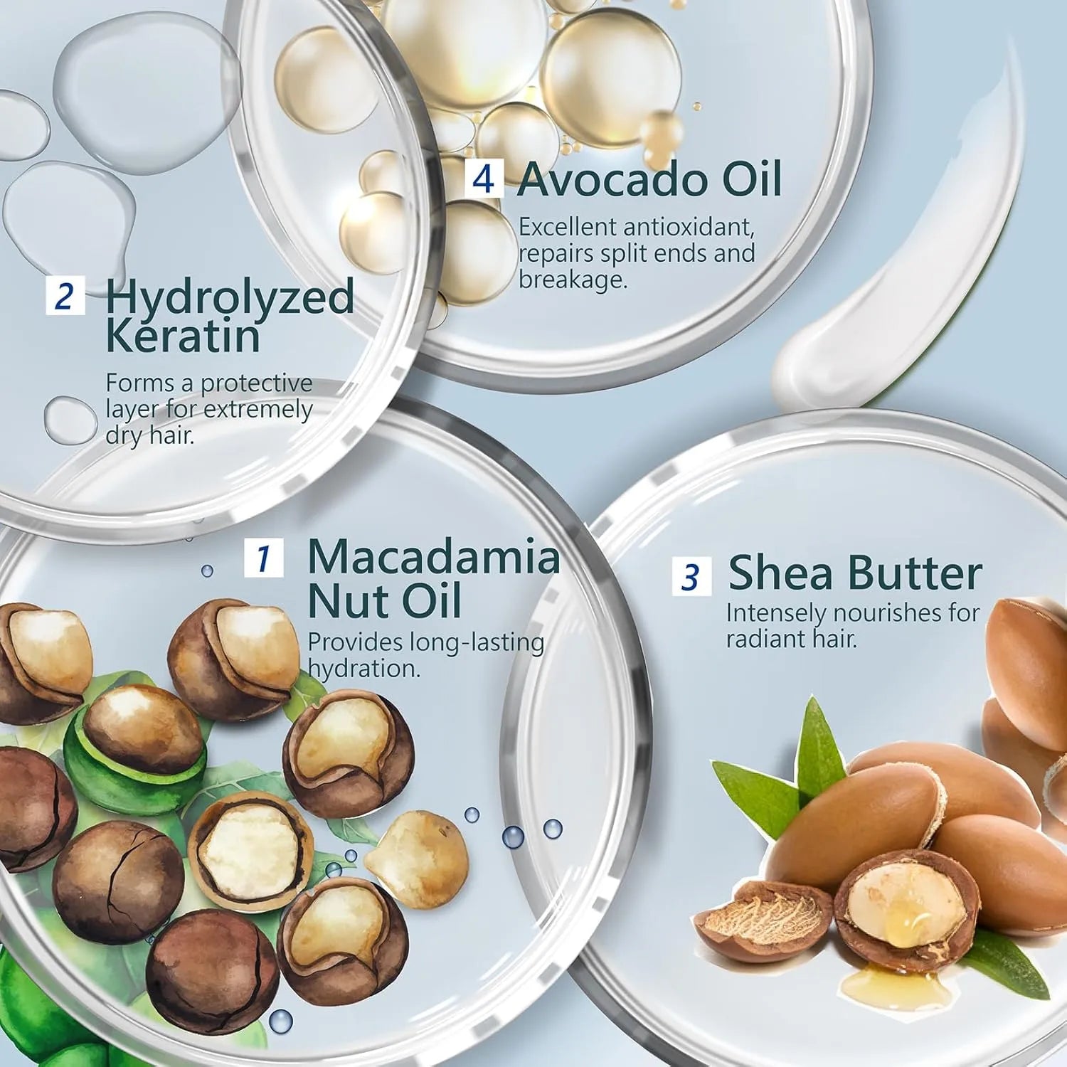 Illustration of hair care ingredients with text on a light blue background