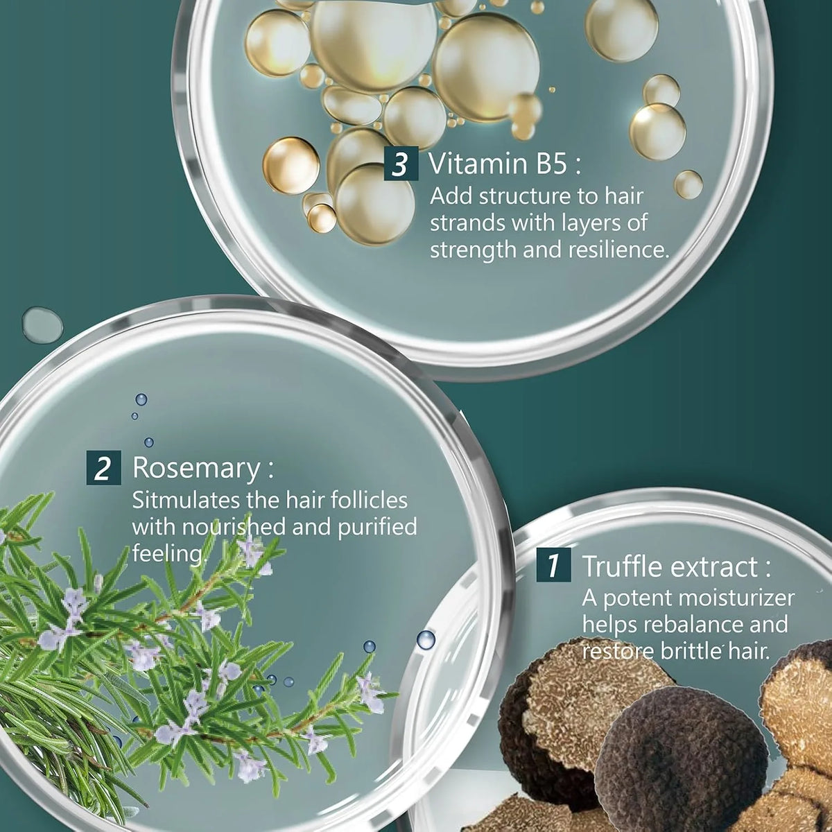 Truffle Moisturizing Shampoo for intense moisture and softness by SH-RD India