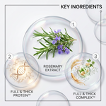 An infographic titled 'KEY INGREDIENTS' showing three clear petri-dish-style panels labeled 1, 2, and 3 with rosemary extract, full & thick protein, and full & thick complex ingredients, plus numbered callouts 1 and 2.