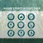 A promotional graphic with the text 'NATURE'S PURITY IN EVERY DROP' above nine circular icons listing product claims: no mineral oil, cruelty free, paraben free, colorant free, non soap base, slesysls free, silicone free, no fluorescent agents free, and gluten free. The icons are set over a soft, blurred background of green leaves.