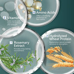 Illustrations of hair care ingredients with text on a green background