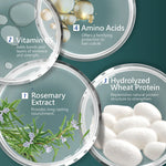 Product packaging with ingredients labeled: Amino Acids, Vitamin B5, Rosemary Extract, and Hydrolyzed Wheat Protein on a teal background.