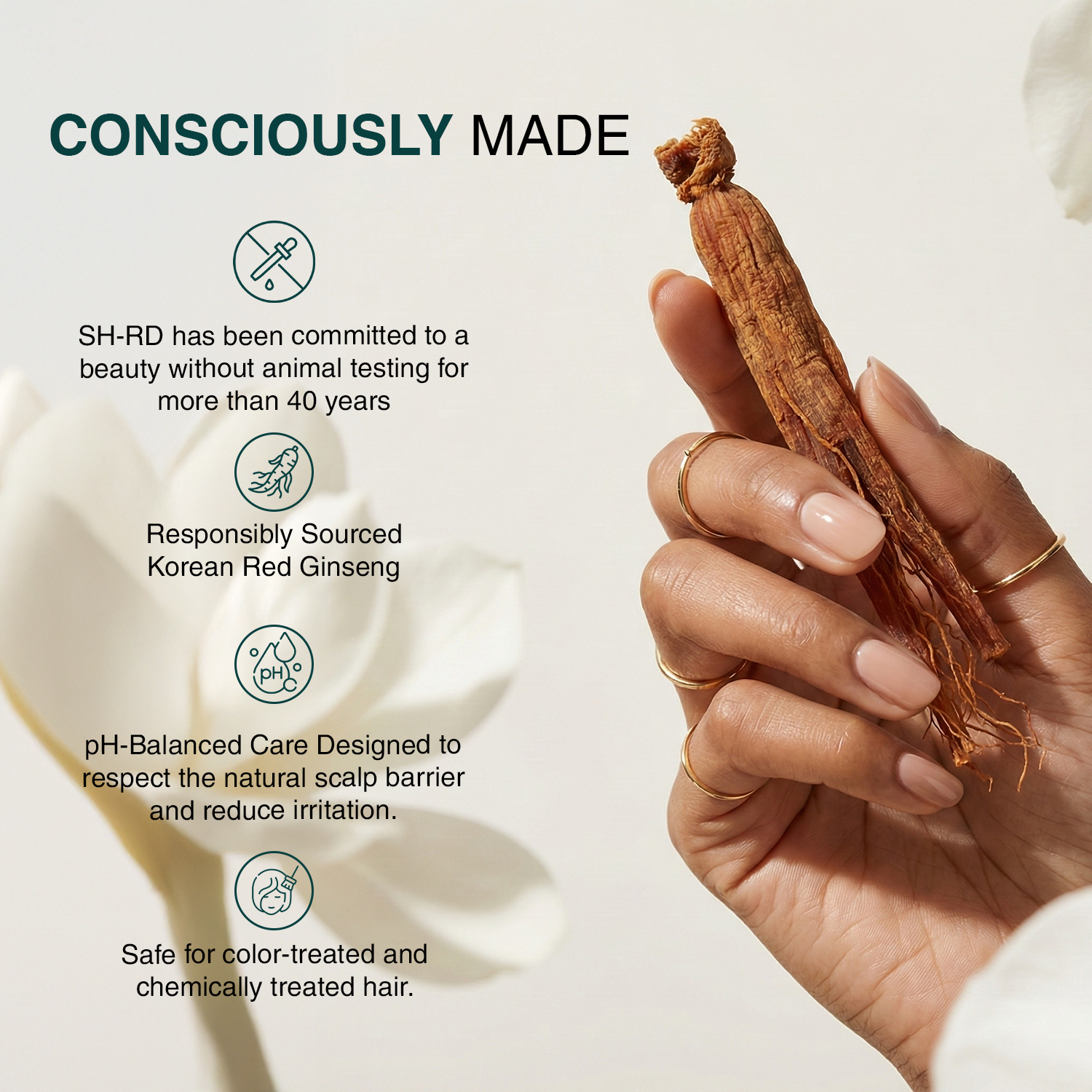 Hand holding a Korean Red Ginseng root with product features listed on a light background
