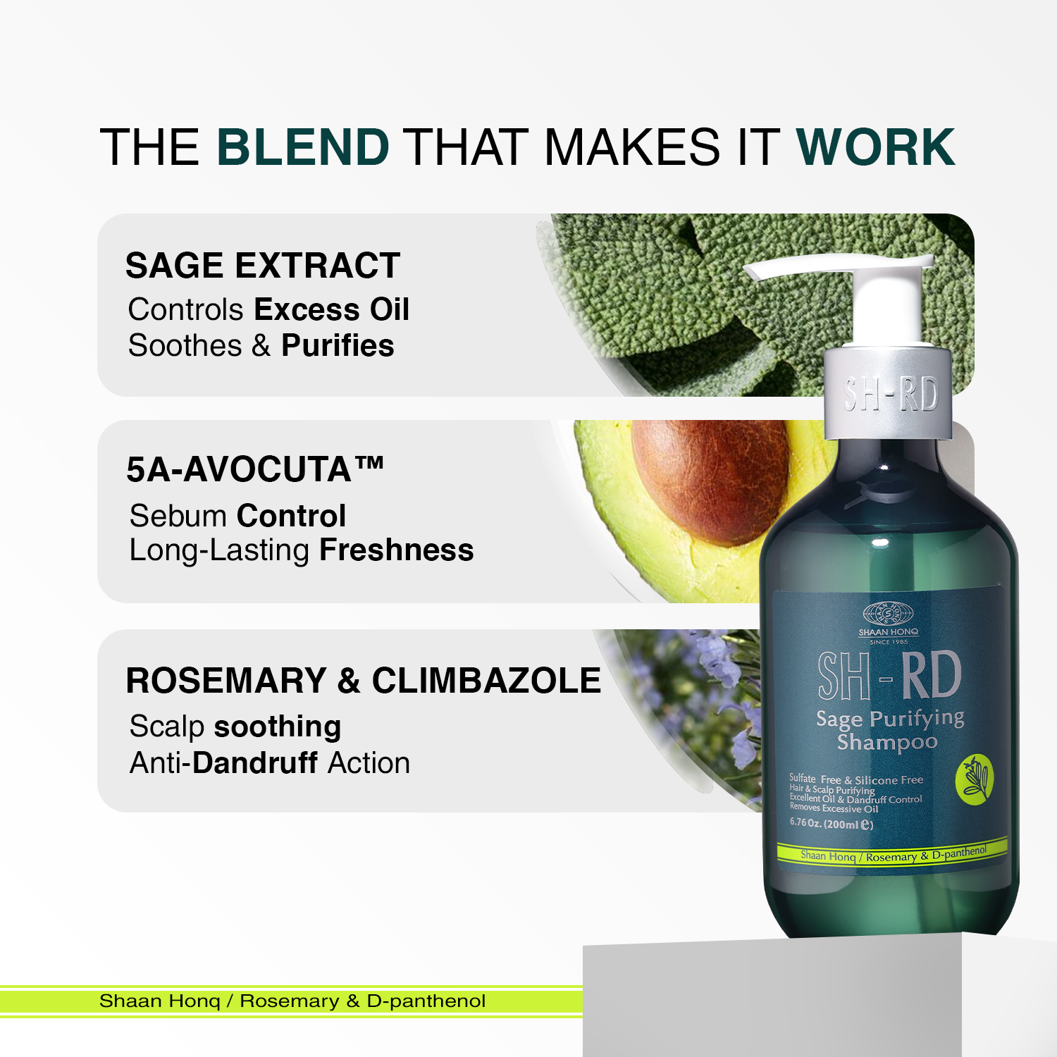 A bottle of SH-RD Sage Purifying Shampoo is shown on a light gray background with three text callouts describing ingredients and benefits: sage extract, 5A-avocuta, and rosemary & climazole. The bottle is dark teal-green with a white pump and a green-and-white label.