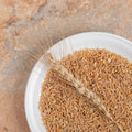Hydrolyzed Wheat Protein