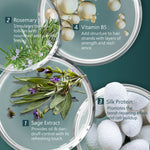 Illustration of hair care ingredients with text on a green background
