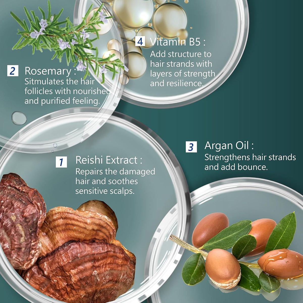 Illustration of hair care ingredients with text on a green background