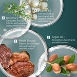 Illustration of hair care ingredients with text on a green background
