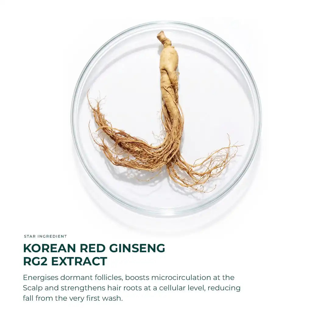 Korean Red Ginseng RG2 Extract on a white background with text about its benefits.