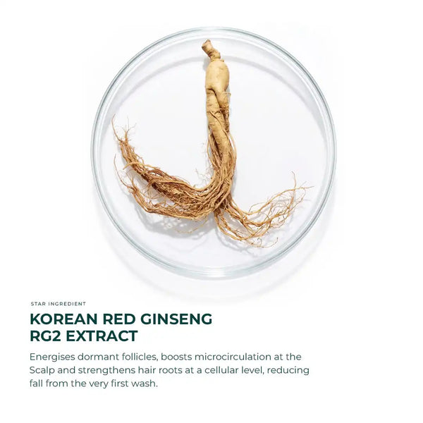 Korean Red Ginseng RG2 Extract on a white background with text about its benefits.